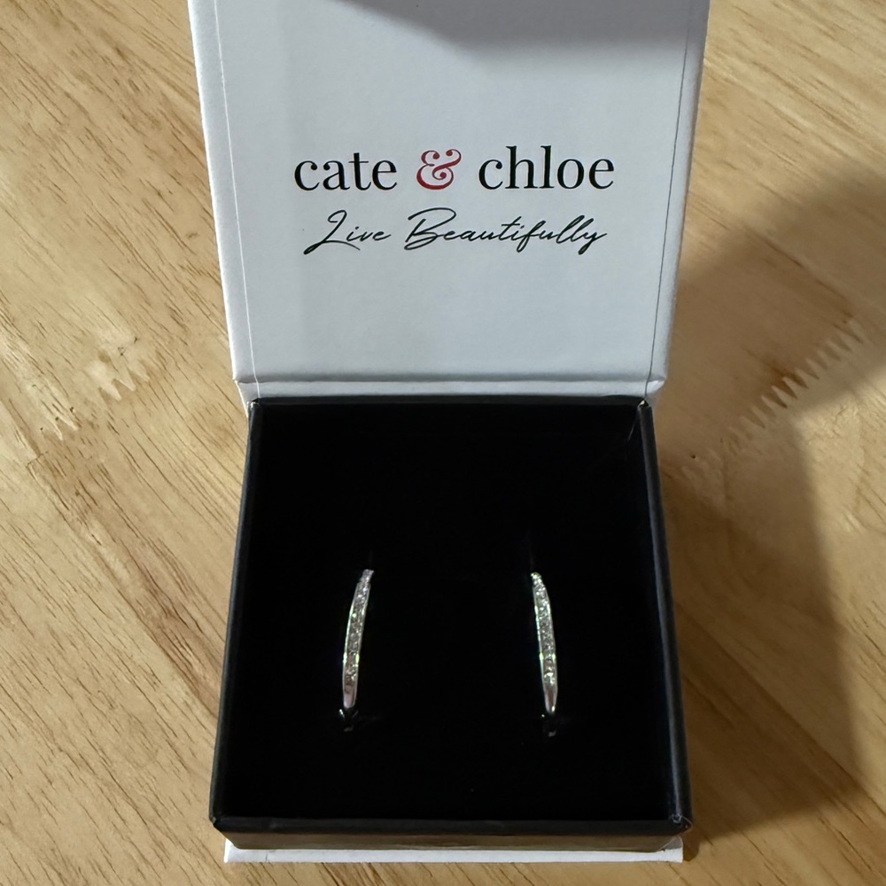 Silver Hoop Earrings